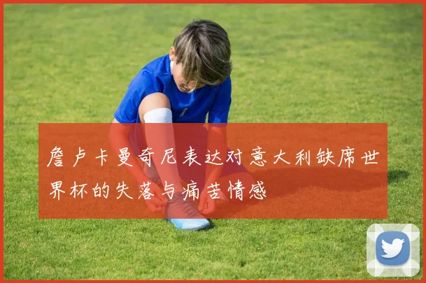 詹卢卡曼奇尼表达对意大利缺席世界杯的失落与痛苦情感