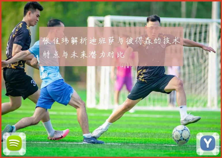 张佳玮解析迪班萨与彼得森的技术特点与未来潜力对比